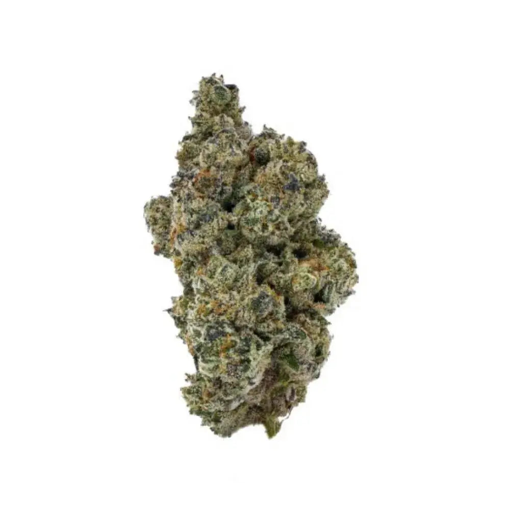 Aqua Verde Feminized Cannabis Seeds By Elev8 Seeds Elev8 Seeds