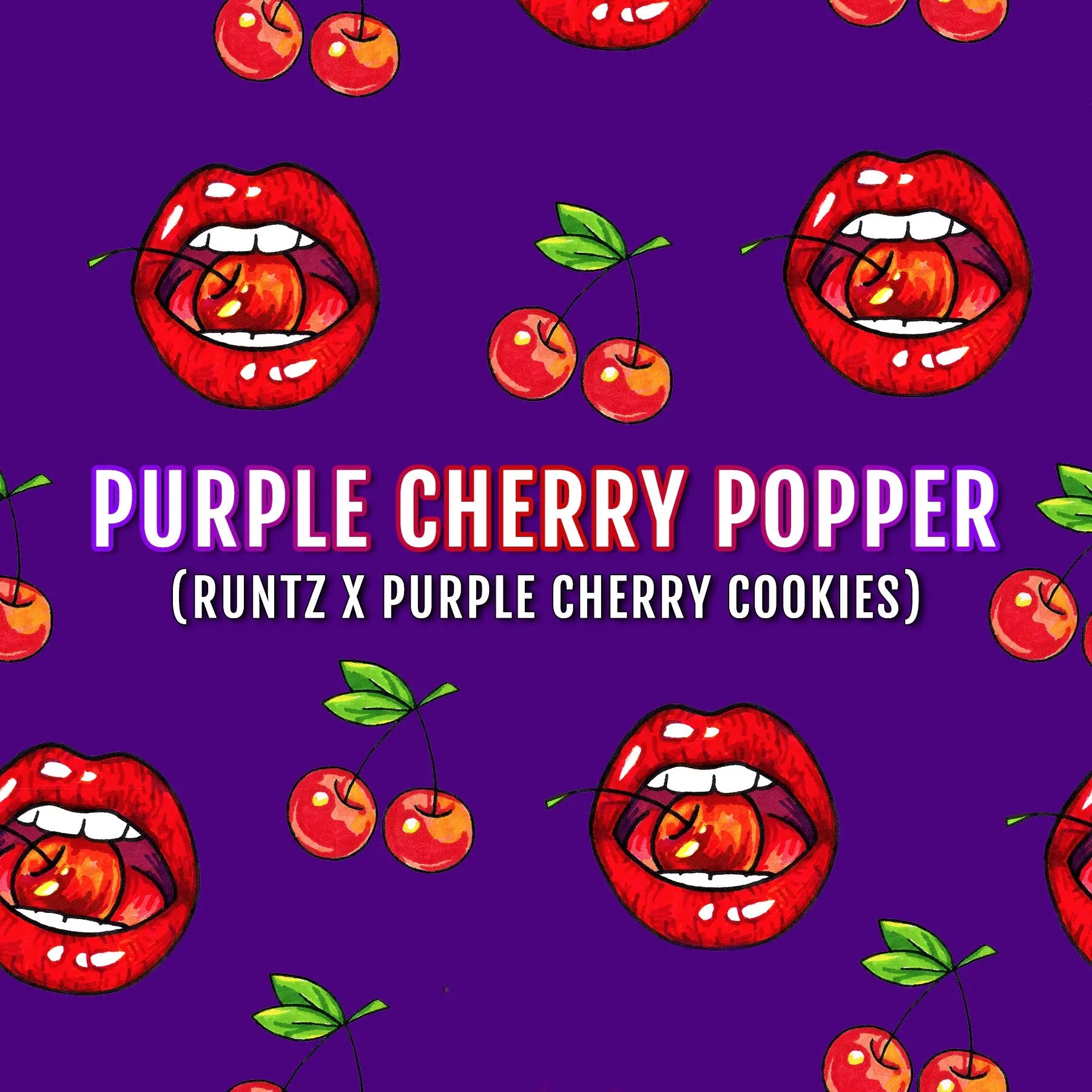 Elev8 Seeds Purple Cherry Popper Feminized Cannabis Seeds, Pack of 6 Elev8 Seeds