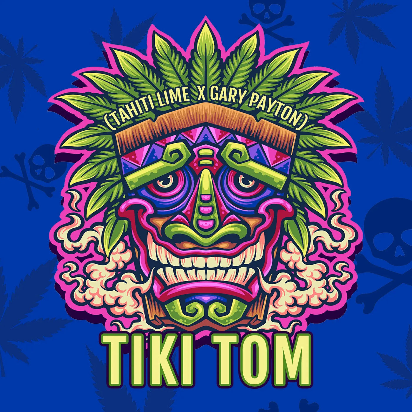 Elev8 Seeds Tiki Tom Feminized Cannabis Seeds, Pack of 6 Elev8 Seeds