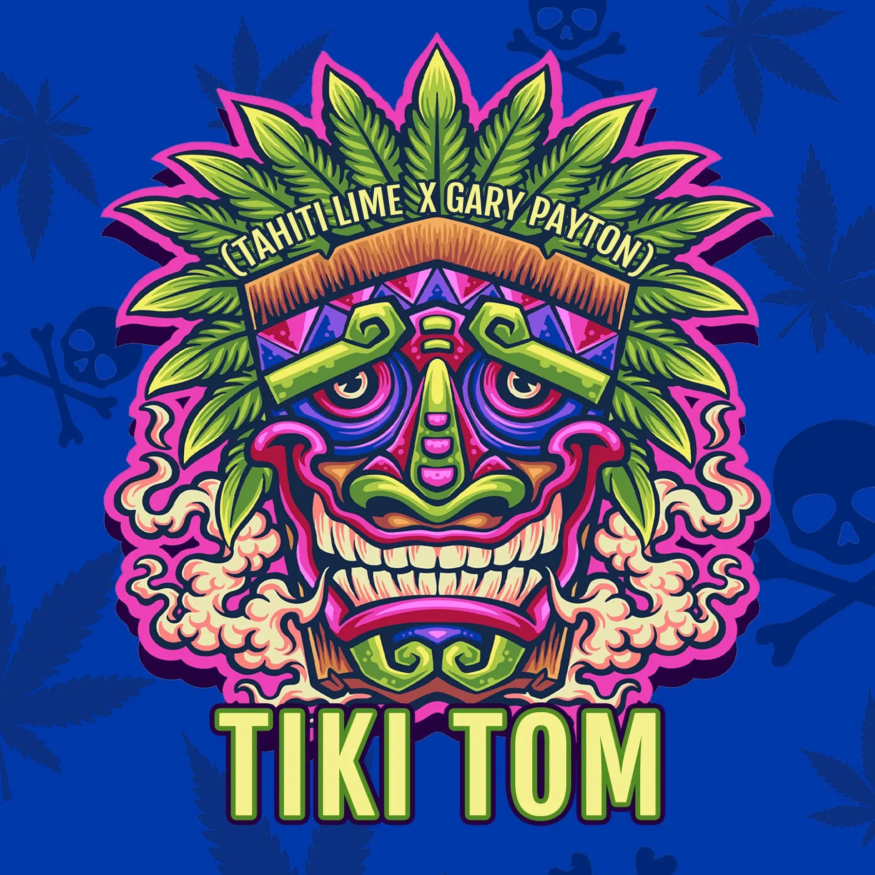 Elev8 Seeds Tiki Tom Feminized Cannabis Seeds, Pack of 6 Elev8 Seeds