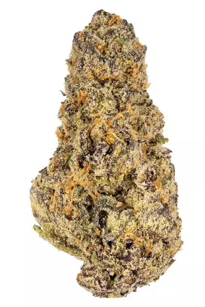 Gelato Sundae Feminized Cannabis Seeds By Elev8 Seeds Elev8 Seeds