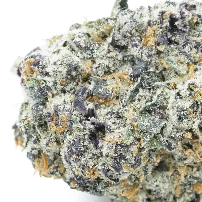 Granny's Apple Fritter Feminized Cannabis Seeds By Elev8 Seeds Elev8 Seeds