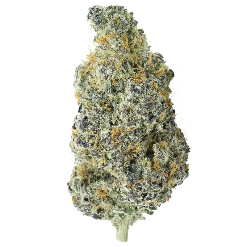 Granny's Apple Fritter Feminized Cannabis Seeds By Elev8 Seeds Elev8 Seeds
