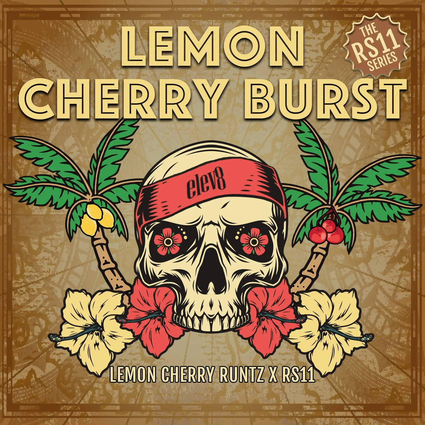 Lemon Cherry Burst Feminized Cannabis Seeds By Elev8 Seeds Elev8 Seeds