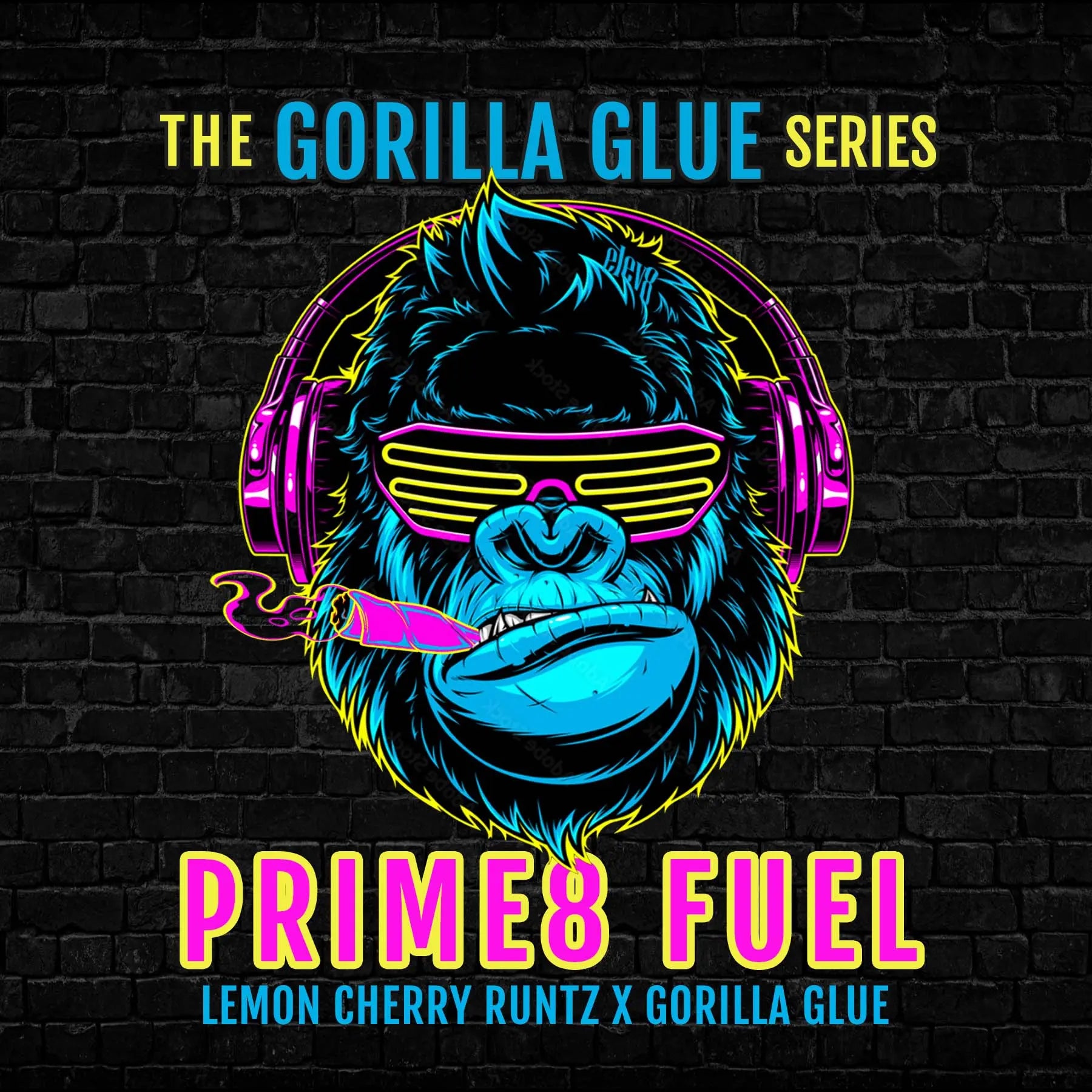 Prime8 Fuel Feminized Cannabis Seeds By Elev8 Seeds Elev8 Seeds