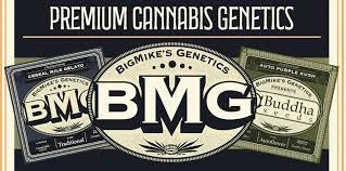 BigMike-s-Genetics Canna Seed Co.