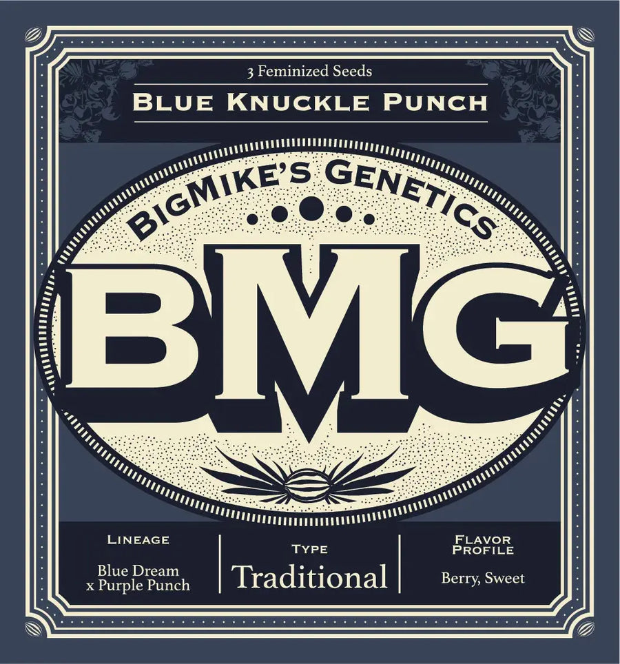 Blue Knuckle Punch Feminized Cannabis Seeds By BigMike's Genetics Elev8 Seeds