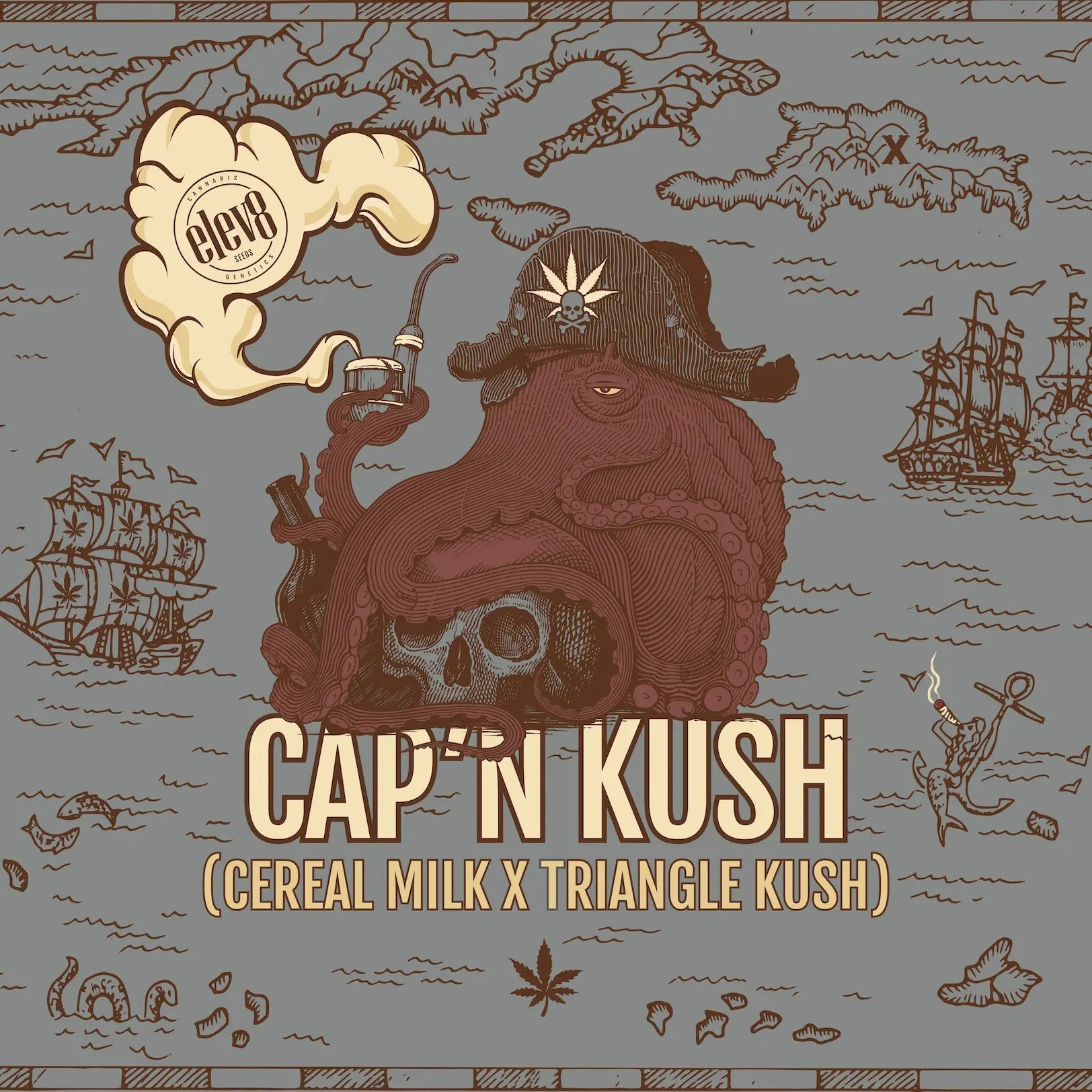 Cap'n Kush Feminized Cannabis Seeds By Elev8 Seeds Elev8 Seeds