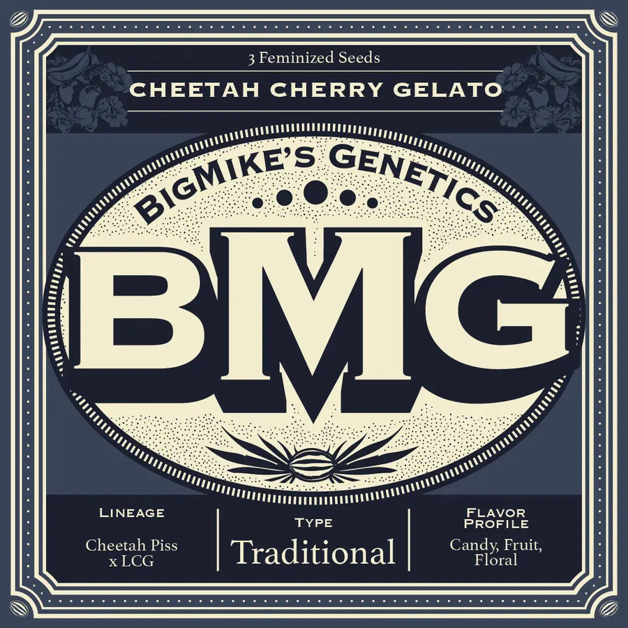 Cheetah Cherry Gelato Feminized Cannabis Seeds By BigMike's Genetics BigMike's Genetics