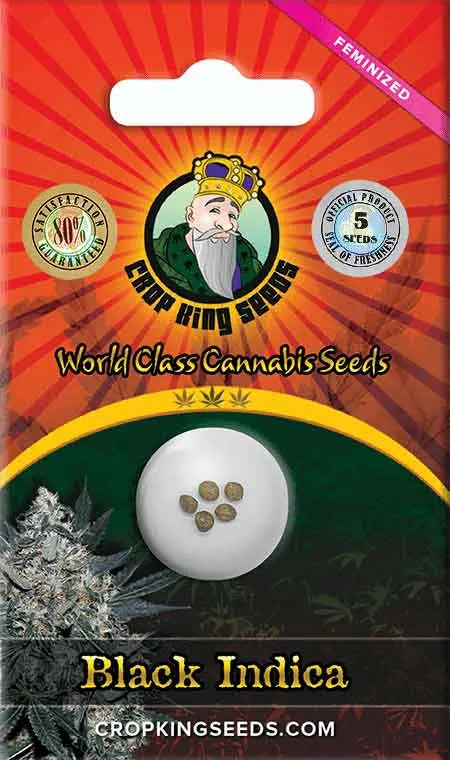 Crop King Seeds Black Indica Feminized Cannabis Seeds, Pack of 5 Crop King Seeds