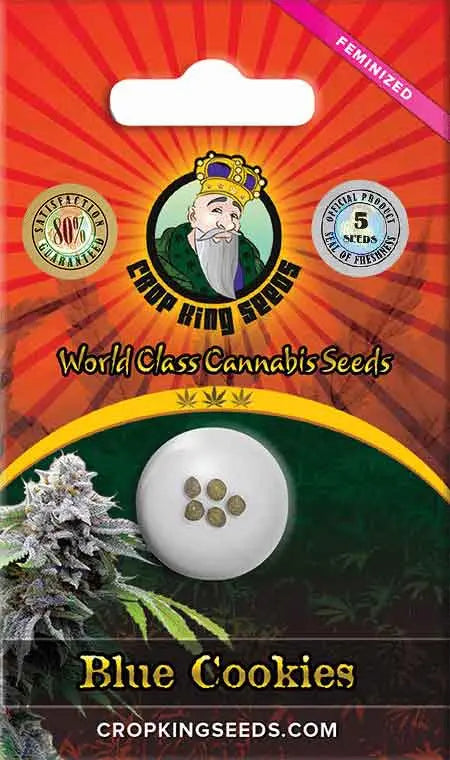 Crop King Seeds Blue Cookies Feminized Cannabis Seeds, Pack of 5 Crop King Seeds