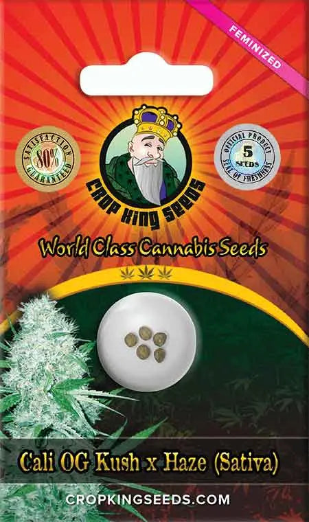 Crop King Seeds Cali OG Kush Haze Feminized Cannabis Seeds, Pack of 5 Crop King Seeds