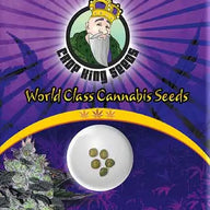 Crop King Seeds Candy Cane Autoflowering Cannabis Seeds, Pack of 5 Crop King Seeds