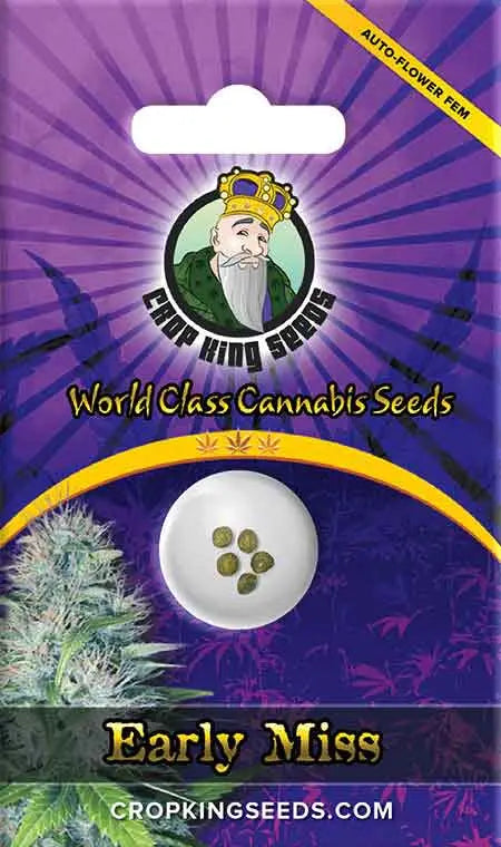 Crop King Seeds Early Miss Autoflower Cannabis Seeds, Pack of 5 Crop King Seeds