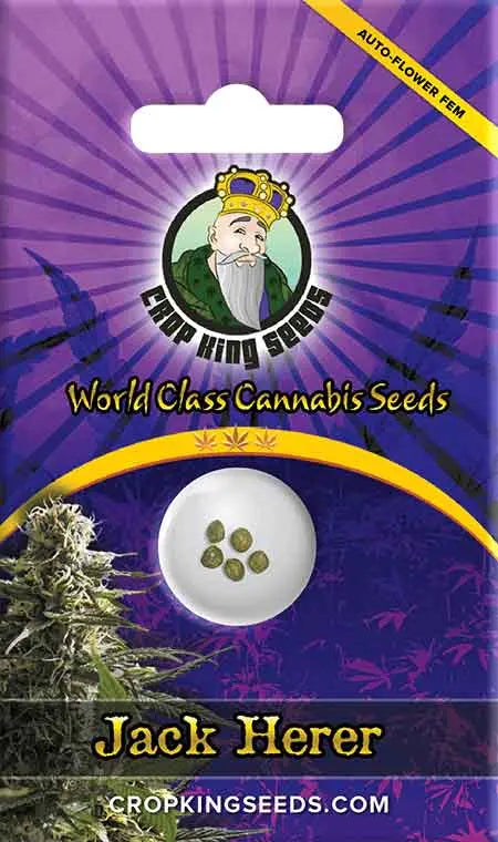 Crop King Seeds Jack Herer Autoflower Cannabis Seeds, Pack of 5 Crop King Seeds