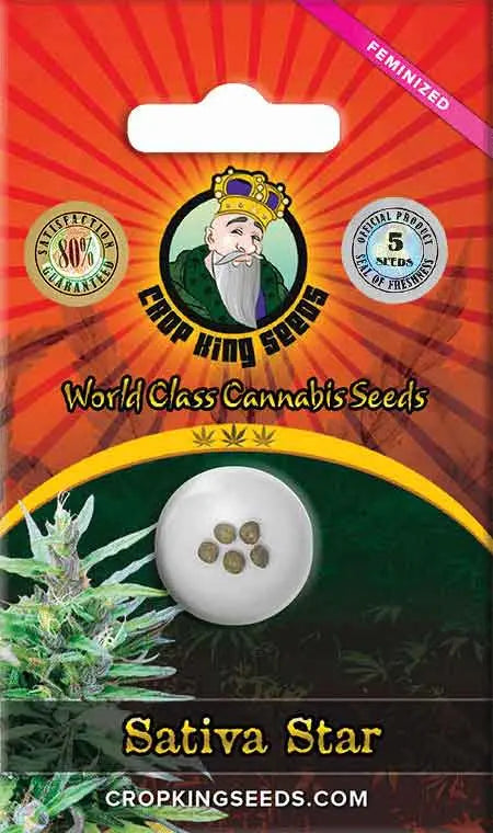 Crop King Seeds Sativa Star Feminized Cannabis Seeds, Pack of 5 Crop King Seeds