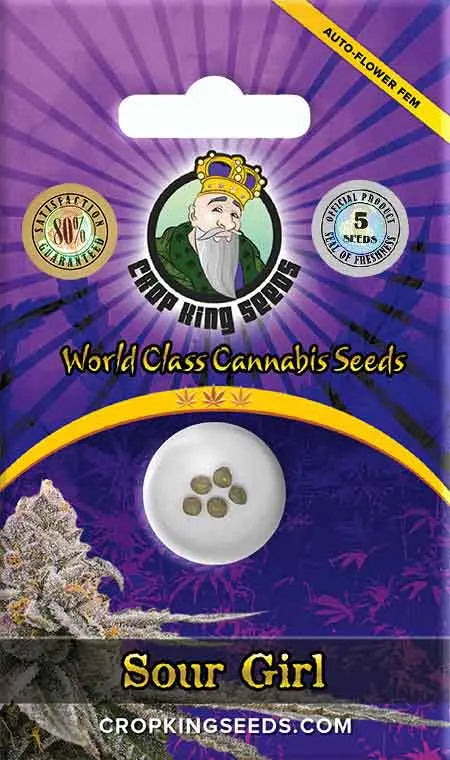 Crop King Seeds Sour Girl Autoflower Cannabis Seeds, Pack of 5 Crop King Seeds
