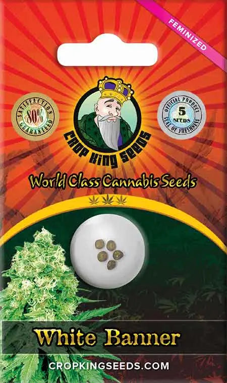 Crop King Seeds White Banner Feminized Cannabis Seeds, Pack of 5 Crop King Seeds