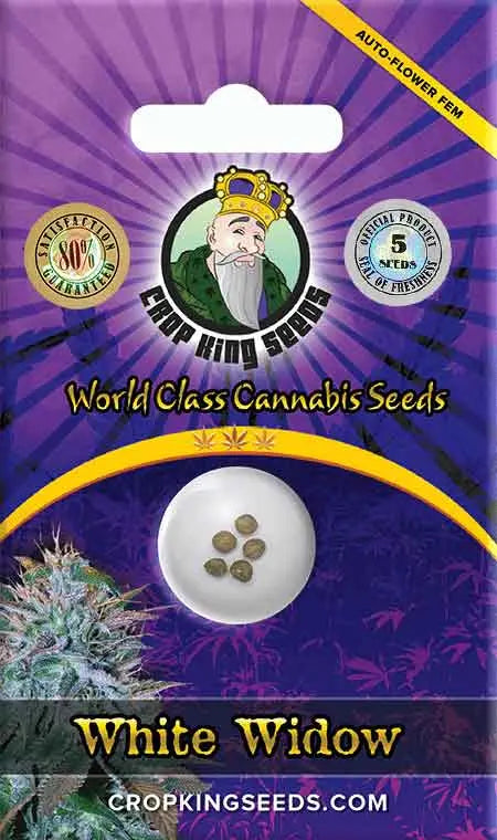 Crop King Seeds White Widow Autoflower Cannabis Seeds, Pack of 5 Crop King Seeds