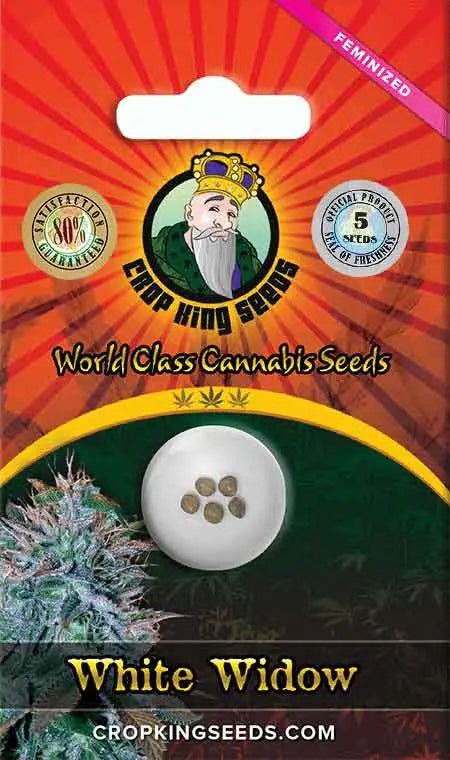 Crop King Seeds White Widow Feminized Cannabis Seeds, Pack of 5 Crop King Seeds