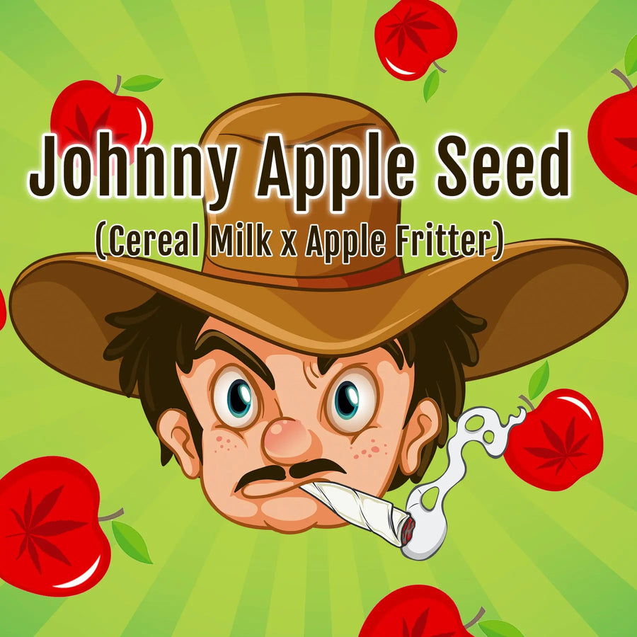 Elev8 Seeds Johnny Apple Seed Feminized Cannabis Seeds, Pack of 6 Elev8 Seeds
