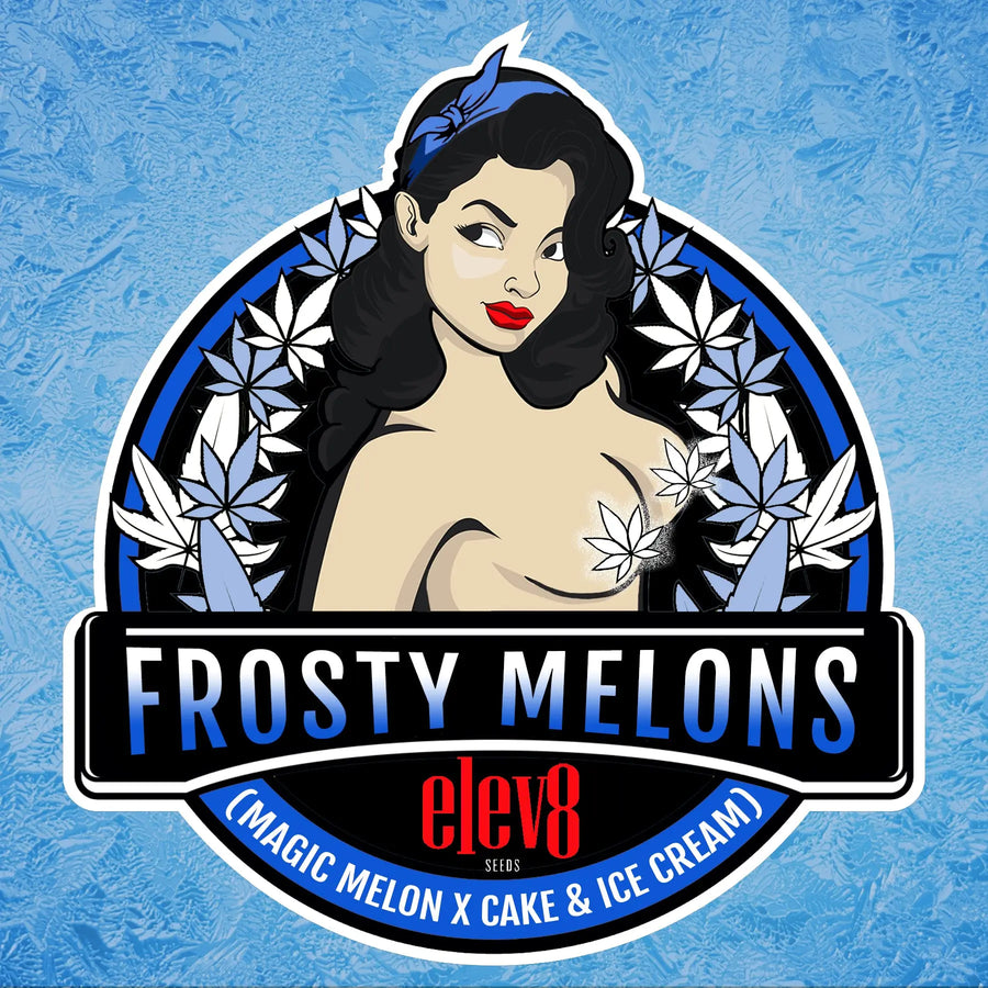 Frosty Melons Feminized Cannabis Seeds By Elev8 Seeds Elev8 Seeds