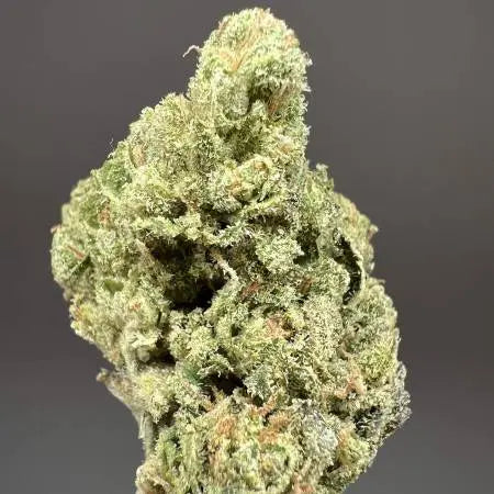 Buy Fullgas Feminized Cannabis Seeds By Green House Seed Co · Canna ...