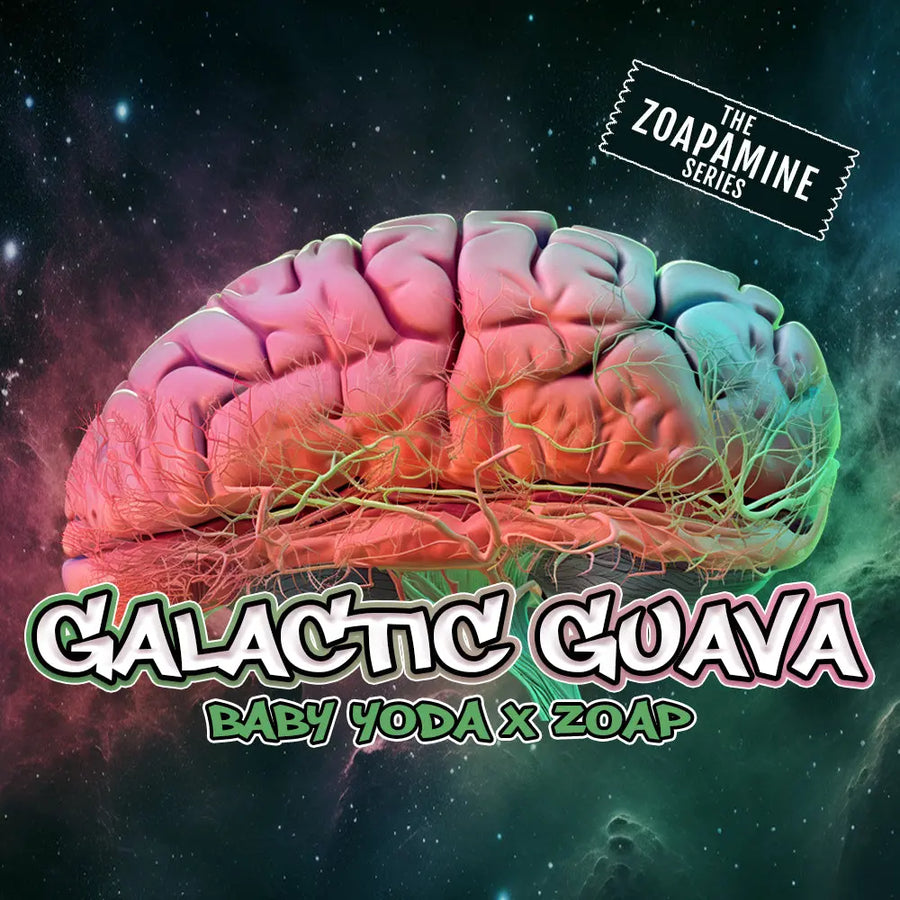 Galactic Guava Feminized Cannabis Seeds By Elev8 Seeds Elev8 Seeds
