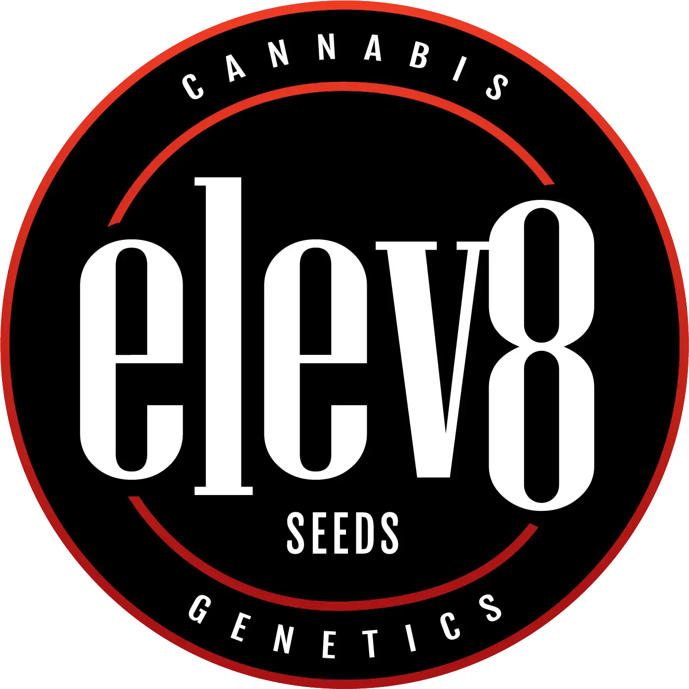 Gelatomo Feminized Cannabis Seeds By Elev8 Seeds Elev8 Seeds