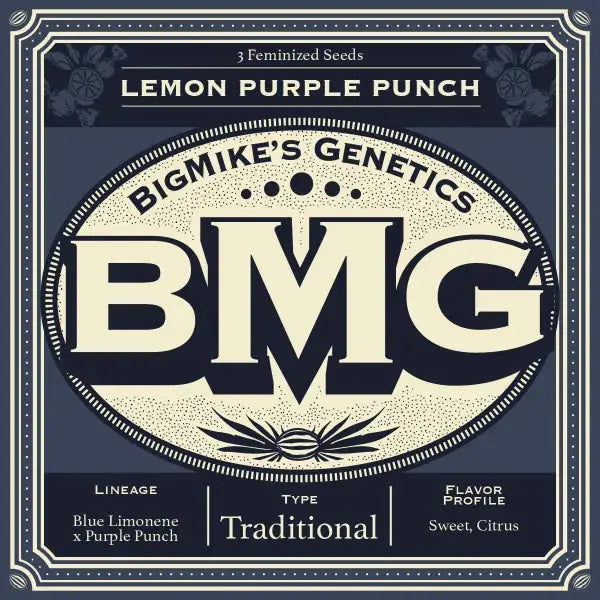 Lemon Purple Punch Feminized Cannabis Seeds By BigMike's Genetics BigMike's Genetics