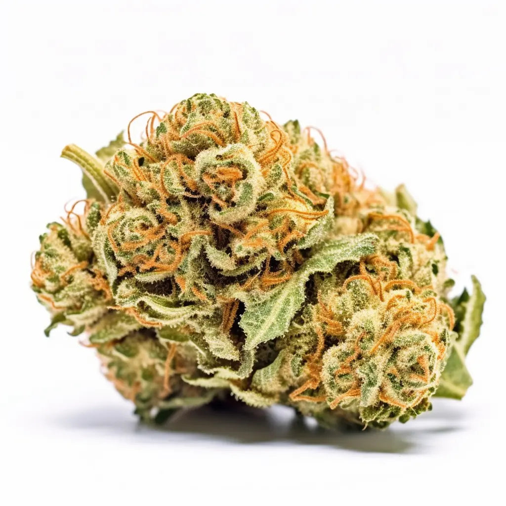 Lemon Sherbet Feminized Cannabis Seeds By Mary Jane's Garden Mary Jane's Garden