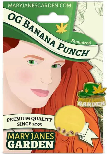 Mary Jane's Garden OG Banana Punch Feminized Cannabis Seeds, Pack of 5 Mary Jane's Garden
