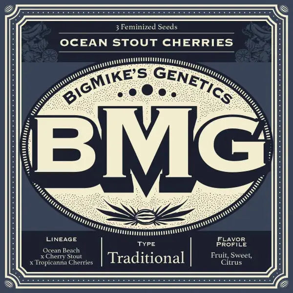 Ocean Stout Cherries Feminized Cannabis Seeds By BigMike's Genetics BigMike's Genetics