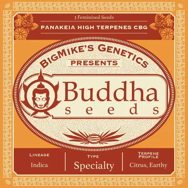 Panakeia High Terpenes CBG Feminized Hemp Seeds By BigMike's Genetics BigMike's Genetics