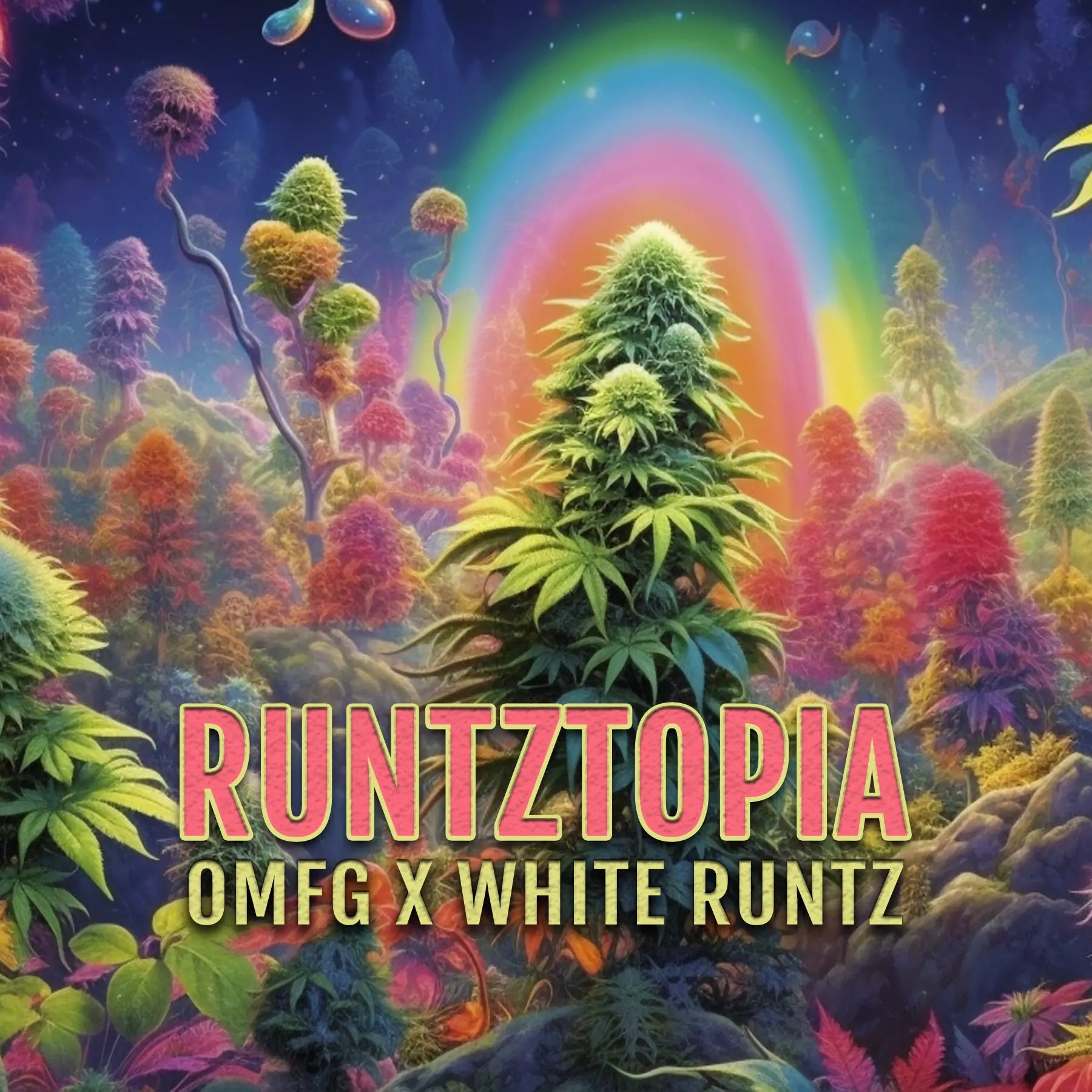 Runtztopia Feminized Cannabis Seeds By Elev8 Seeds Elev8 Seeds