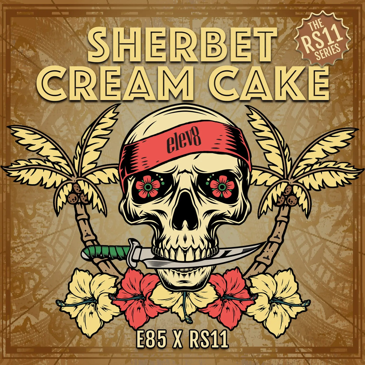 Sherbet Cream Cake Feminized Cannabis Seeds By Elev8 Seeds Elev8 Seeds