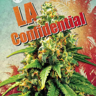 Sonoma Seeds LA Confidential Feminized Cannabis Seeds, Pack of 5 Sonoma Seeds