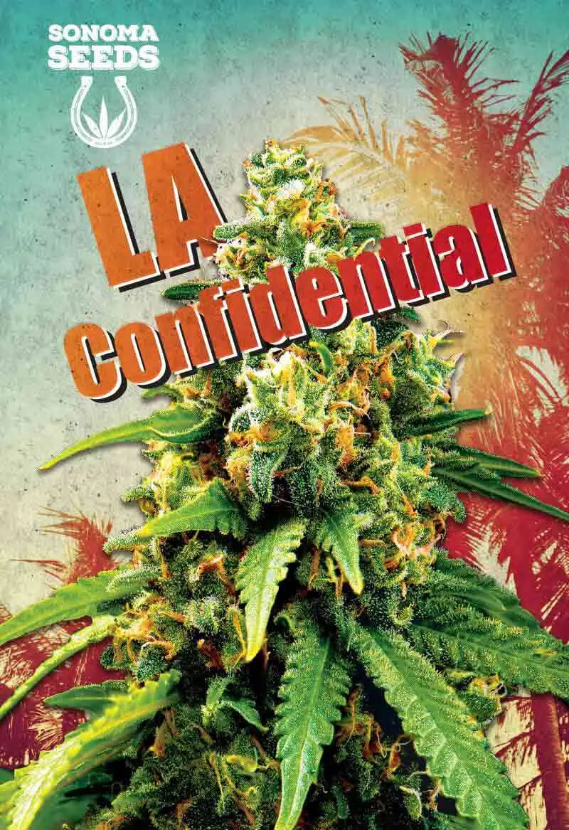 Sonoma Seeds LA Confidential Feminized Cannabis Seeds, Pack of 5 Sonoma Seeds