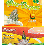Sunwest Genetics Blue Dream Feminized Cannabis Seeds, Pack of 5 Sunwest Genetics