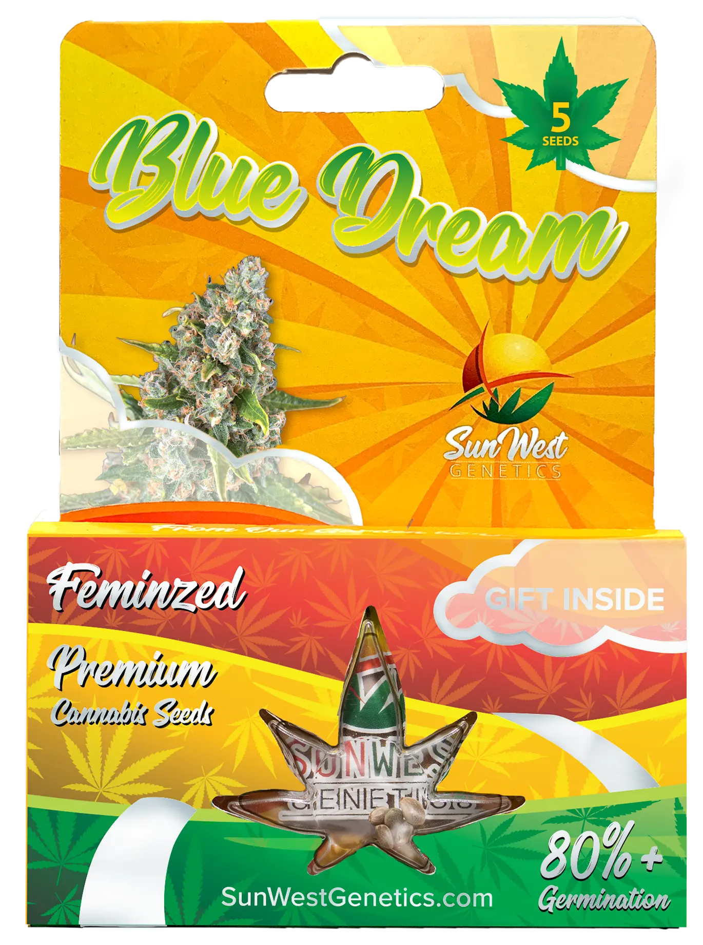 Sunwest Genetics Blue Dream Feminized Cannabis Seeds, Pack of 5 Sunwest Genetics