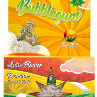 Sunwest Genetics Bubblegum Autoflower Cannabis Seeds, Pack of 5 Sunwest Genetics