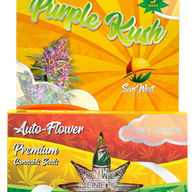 Sunwest Genetics Purple Kush Autoflower Cannabis Seeds, Pack of 5 Sunwest Genetics