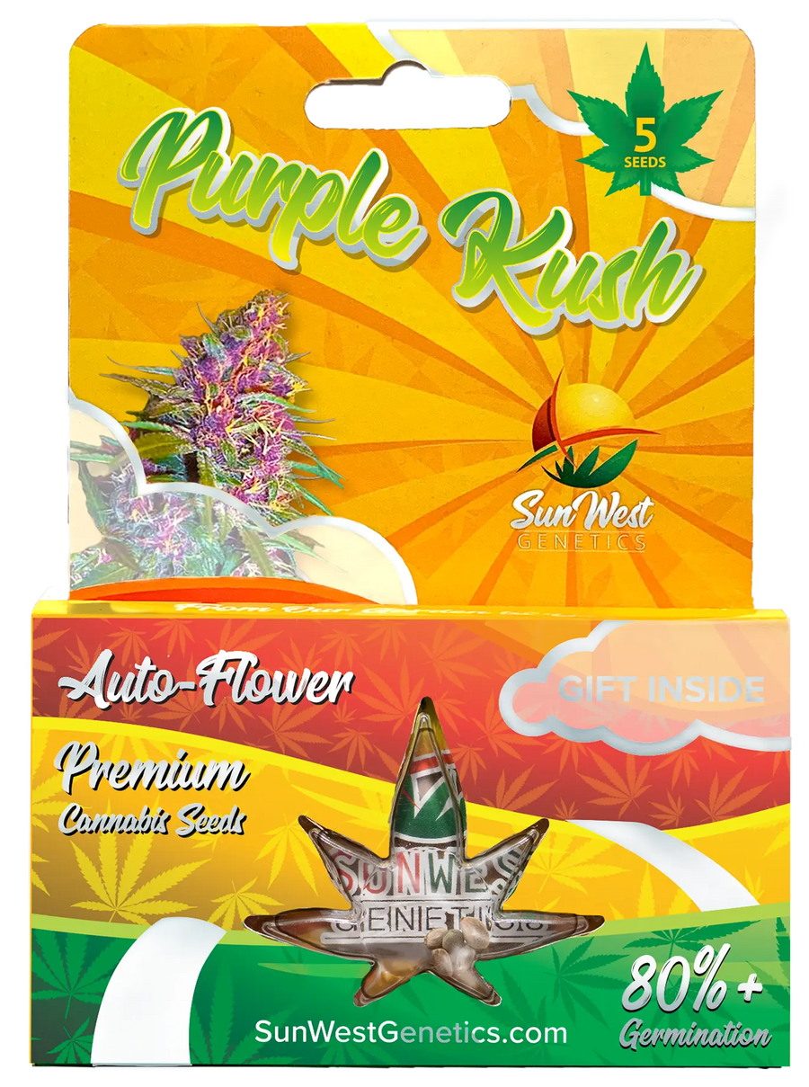 Sunwest Genetics Purple Kush Autoflower Cannabis Seeds, Pack of 5 Sunwest Genetics