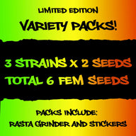 Variety Pack 1 By Elev8 Seeds 3 Types of Feminized Cannabis Seeds Elev8 Seeds