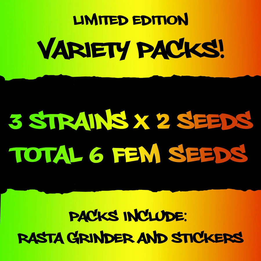 Variety Pack 1 By Elev8 Seeds 3 Types of Feminized Cannabis Seeds Elev8 Seeds