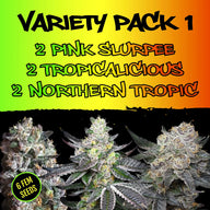 Variety Pack 1 By Elev8 Seeds 3 Types of Feminized Cannabis Seeds Elev8 Seeds