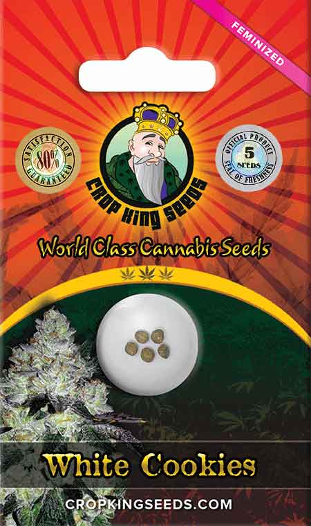 White Cookies Feminized Cannabis Seeds By Crop King Seeds Crop King Seeds