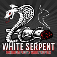 White Serpent Feminized Cannabis Seeds By Elev8 Seeds Elev8 Seeds